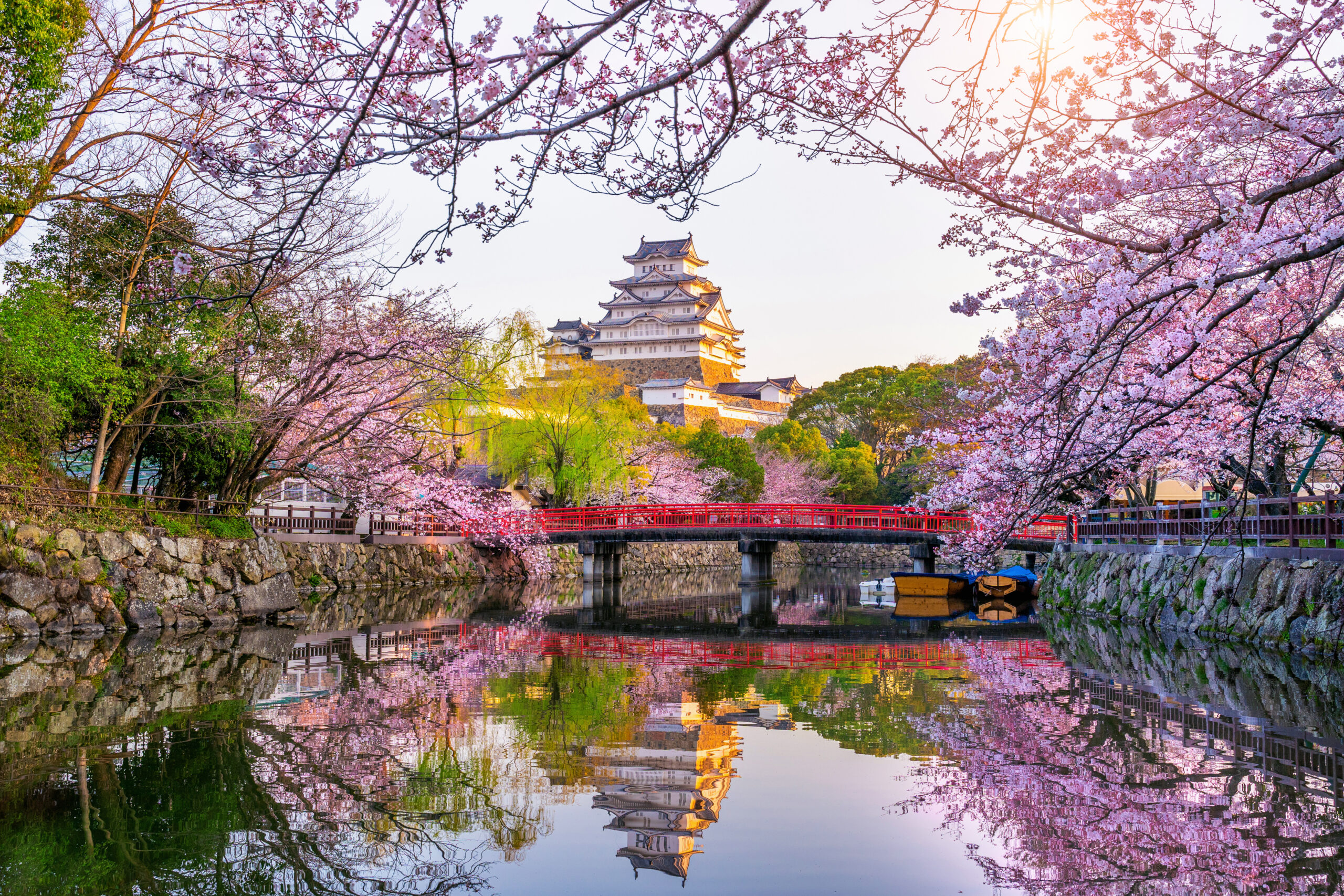 Japan Discovery Tour